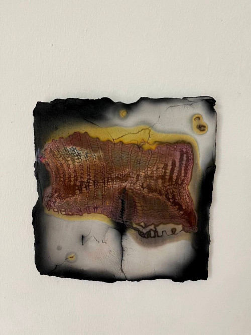 photo_2024-04-29_17-05-57